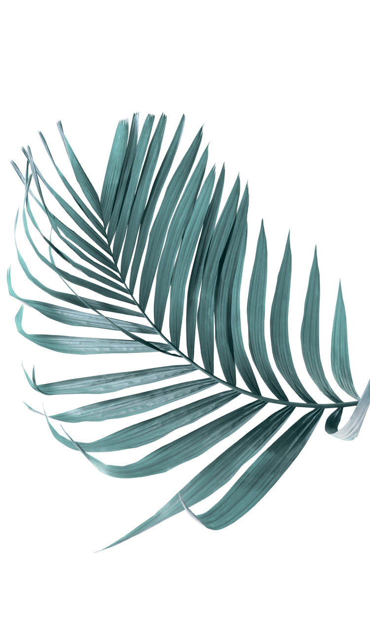 wellness-1 palm frond graphic